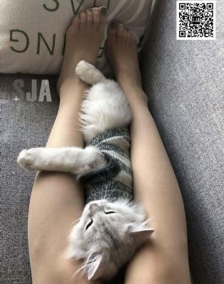 国产视频拍_4K在线视频播放